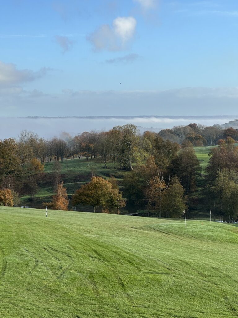 Sussex countryside portrait1